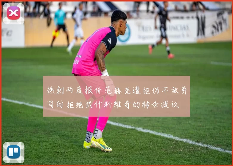 热刺两度报价范赫克遭拒仍不放弃同时拒绝武什科维奇的转会提议