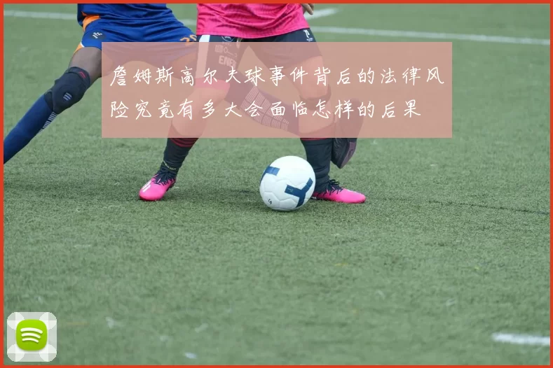 詹姆斯高尔夫球事件背后的法律风险究竟有多大会面临怎样的后果