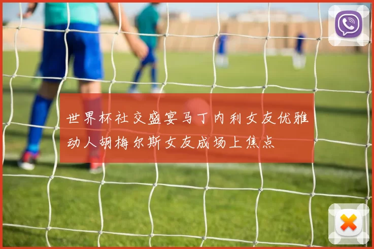 世界杯社交盛宴马丁内利女友优雅动人胡梅尔斯女友成场上焦点
