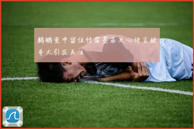 鹈鹕重申留住特雷墨菲决心传言被夸大引发关注